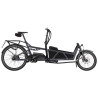 Speed bike Riese & Müller Load5 60 HS Rohloff