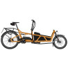 Speed bike Riese & Müller Load5 60 HS Rohloff
