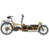 Speed bike Riese & Müller Load5 75 HS