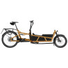Speed bike Riese & Müller Load5 75 HS Pinion