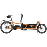 Speed bike Riese & Müller Load5 75 HS Rohloff