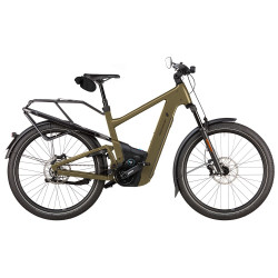 Speed bike Riese & Müller Delite5 HS