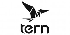 Tern